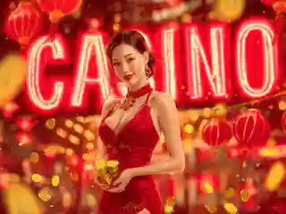 5 Tips for Hawkplay Agents